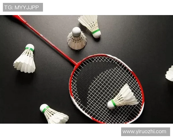 深度对话杨娜分享羽毛球背后的奋斗与成长故事 深度对话杨娜分享羽毛球背后的奋斗与成长故事