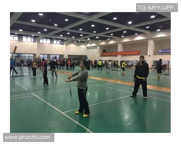 杭州羽毛球队在联合会杯中的技术表现分析与评价