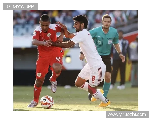 杭州羽毛球队在锦标赛中的团队协作表现分析与点评